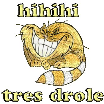 Gif animé rire chat